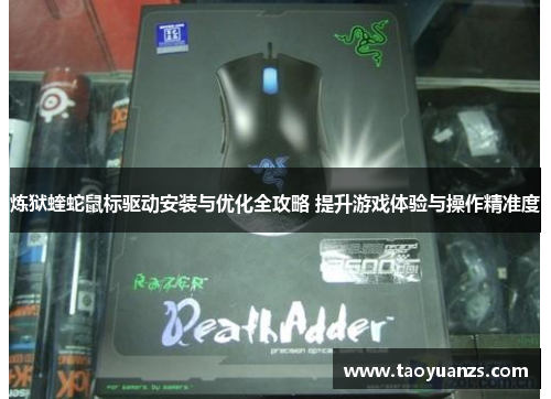 炼狱蝰蛇鼠标驱动安装与优化全攻略 提升游戏体验与操作精准度